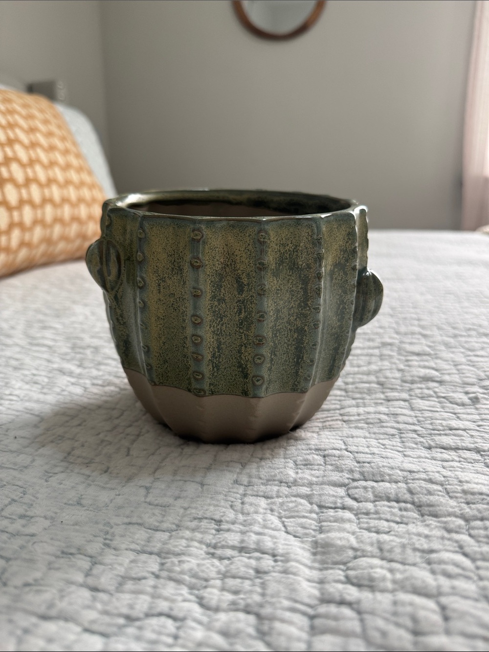 Cactus Ceramic Decorative Planter Pot